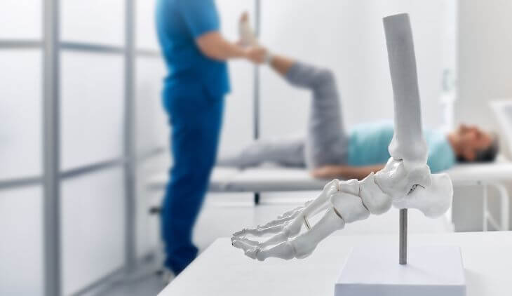 Anatomical model of an ankle in the treatment room where an orthopedists is examining patient's ankle and foot.